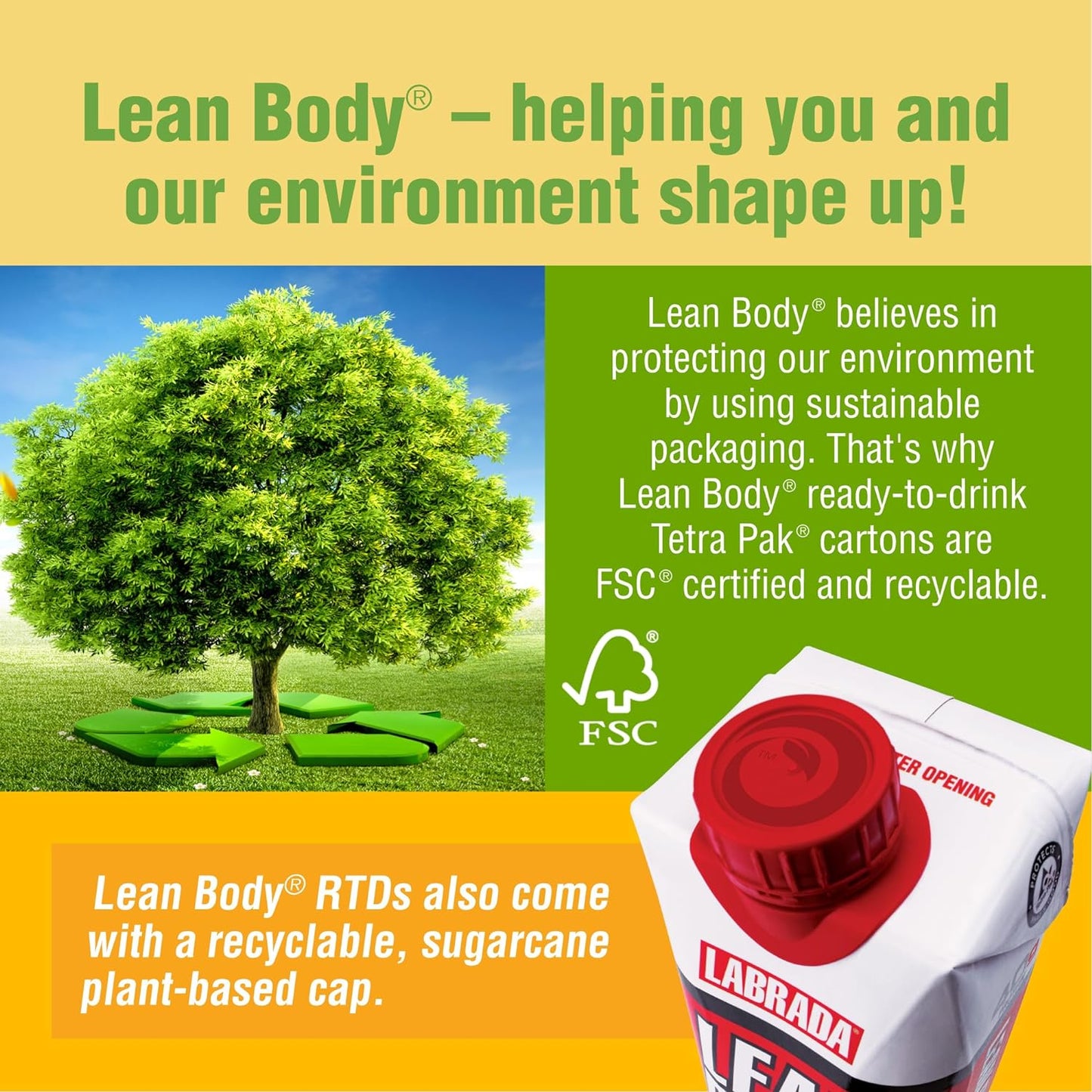 Lean Body Mint Chocolate Ready-to-Drink (17oz, 12 Pack)