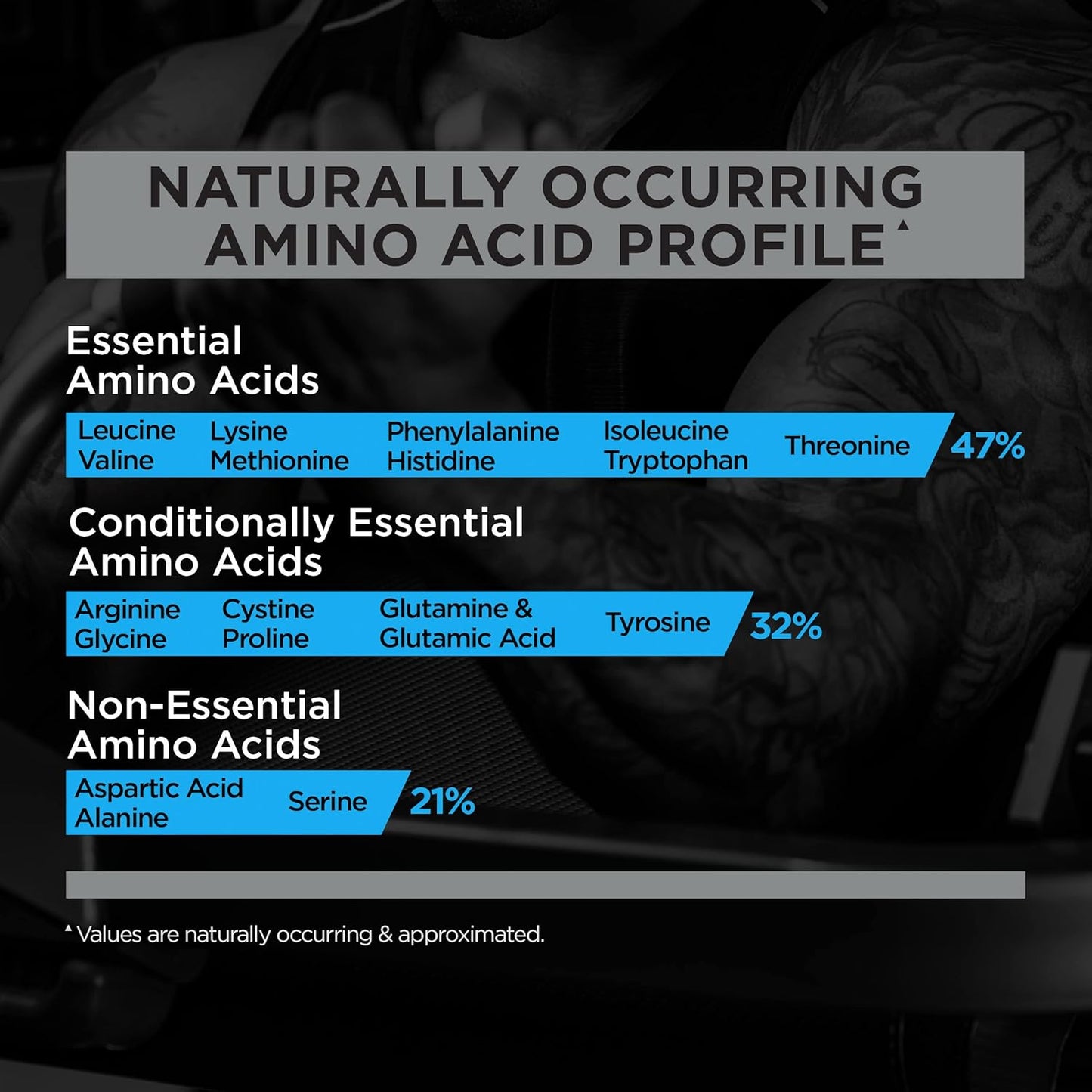 Rule One Proteins Vanilla Ice Cream Whey Blend with EAAs and BCAAs (2lbs)