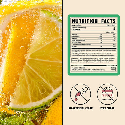 BUM Citrus Burst Sugar-Free Energy Drink (12 oz, Pack of 12)