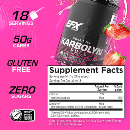 EFX Sports Karbolyn Fuel - Fast Absorbing Carb Powder for Energy & Recovery (Strawberry, 18 Servings)