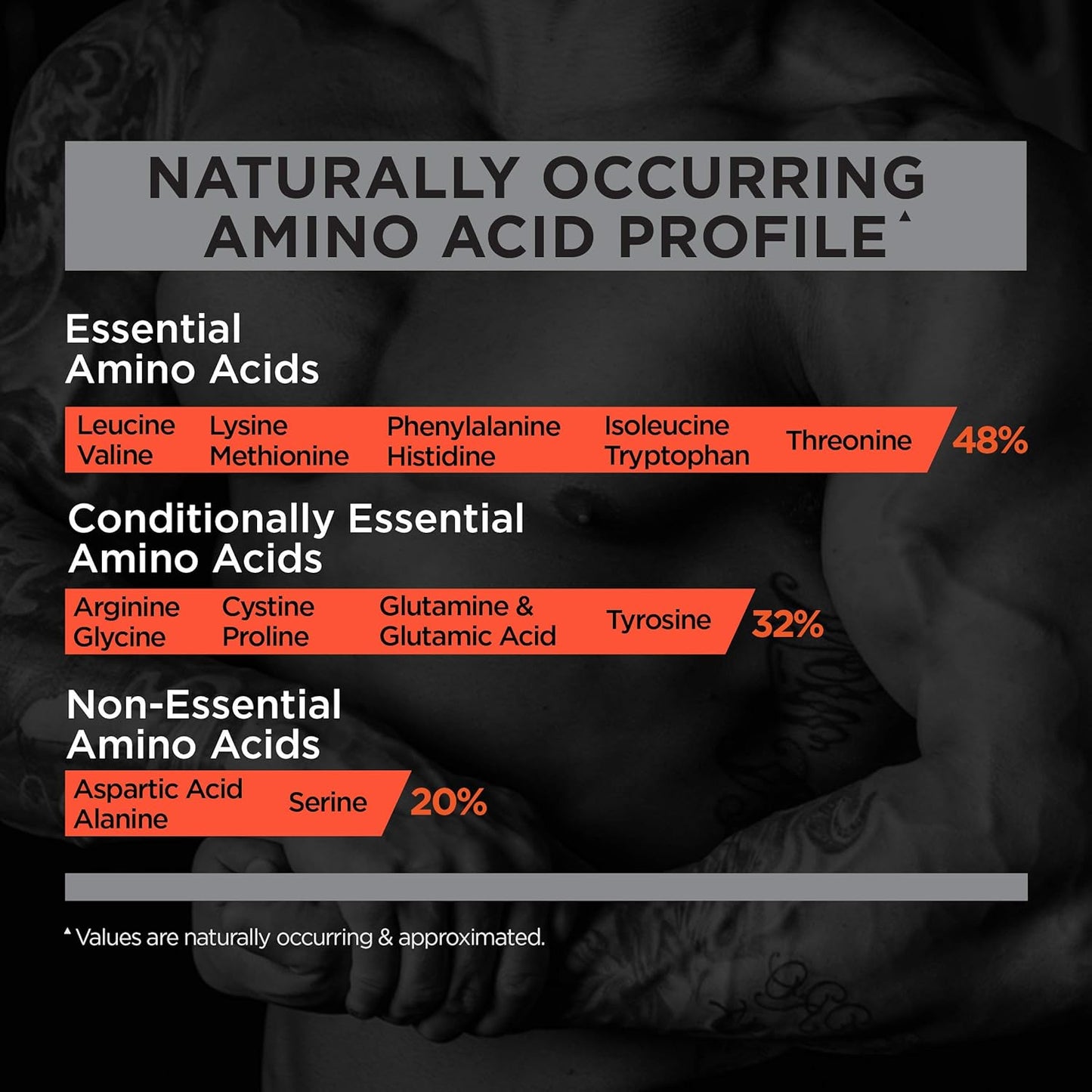 Rule One R1 100% Isolate & Hydrolysate Protein, 6g BCAAs (5lb, Frozen Banana)