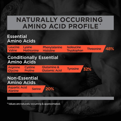 Rule One R1 100% Isolate & Hydrolysate Protein, 6g BCAAs (5lb, Frozen Banana)