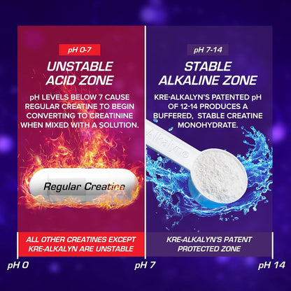 EFX Sports Kre-Alkalyn Creatine Powder for Strength & Performance (Mango, 110 Servings)