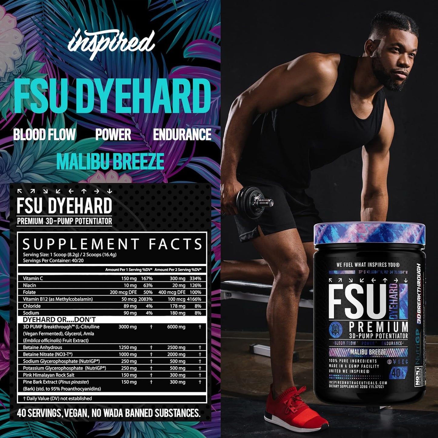 Inspired Nutraceuticals FSU DYEHARD Non-Stim Pre-Workout (Malibu Breeze)